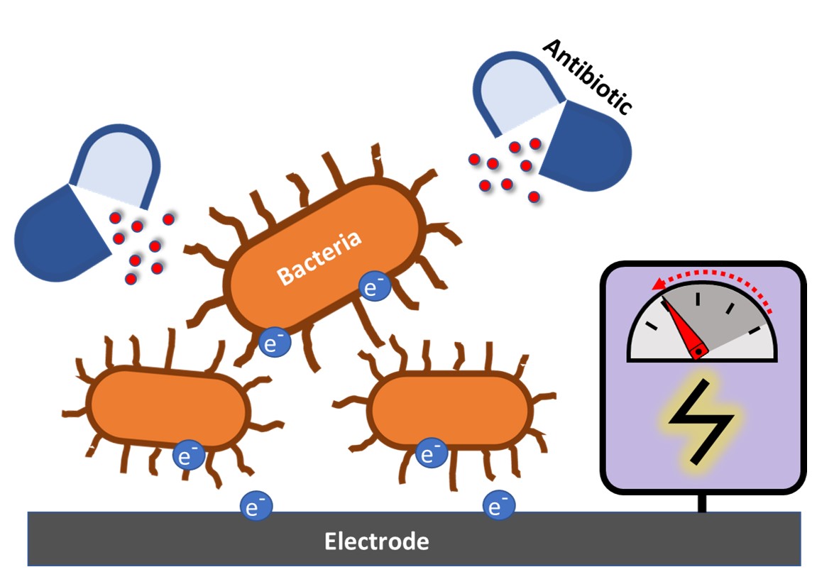 Antibiotic susceptibility testing device