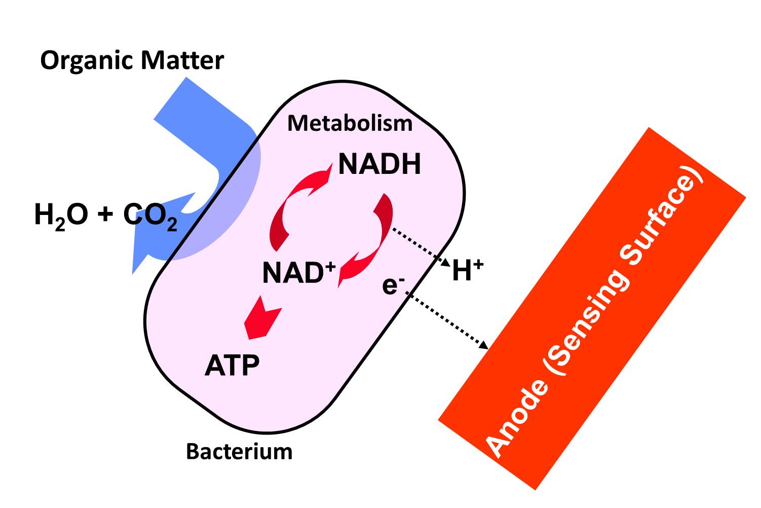Microbial fuel cell device architecture