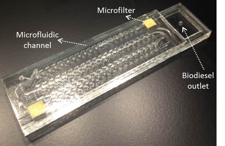 Biofuel production system