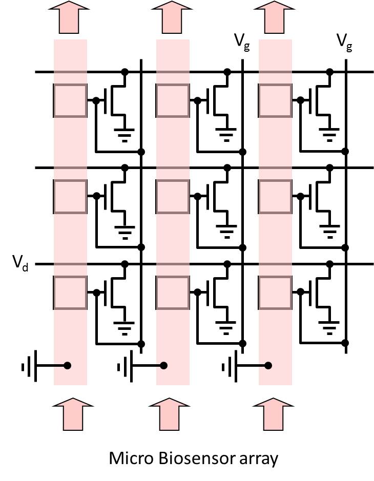 Biosensor array illustration used for pattern-based detection