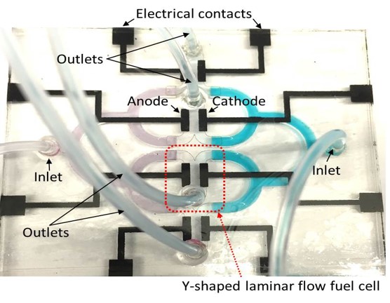 BioMEMS microfluidics device
