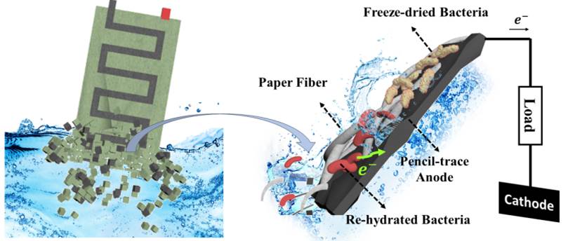 Illustration of a transient biobattery platform on dissolvable paper