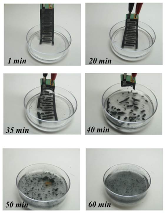 Examples of transient bacteria-powered biobattery devices and their dissolution behavior